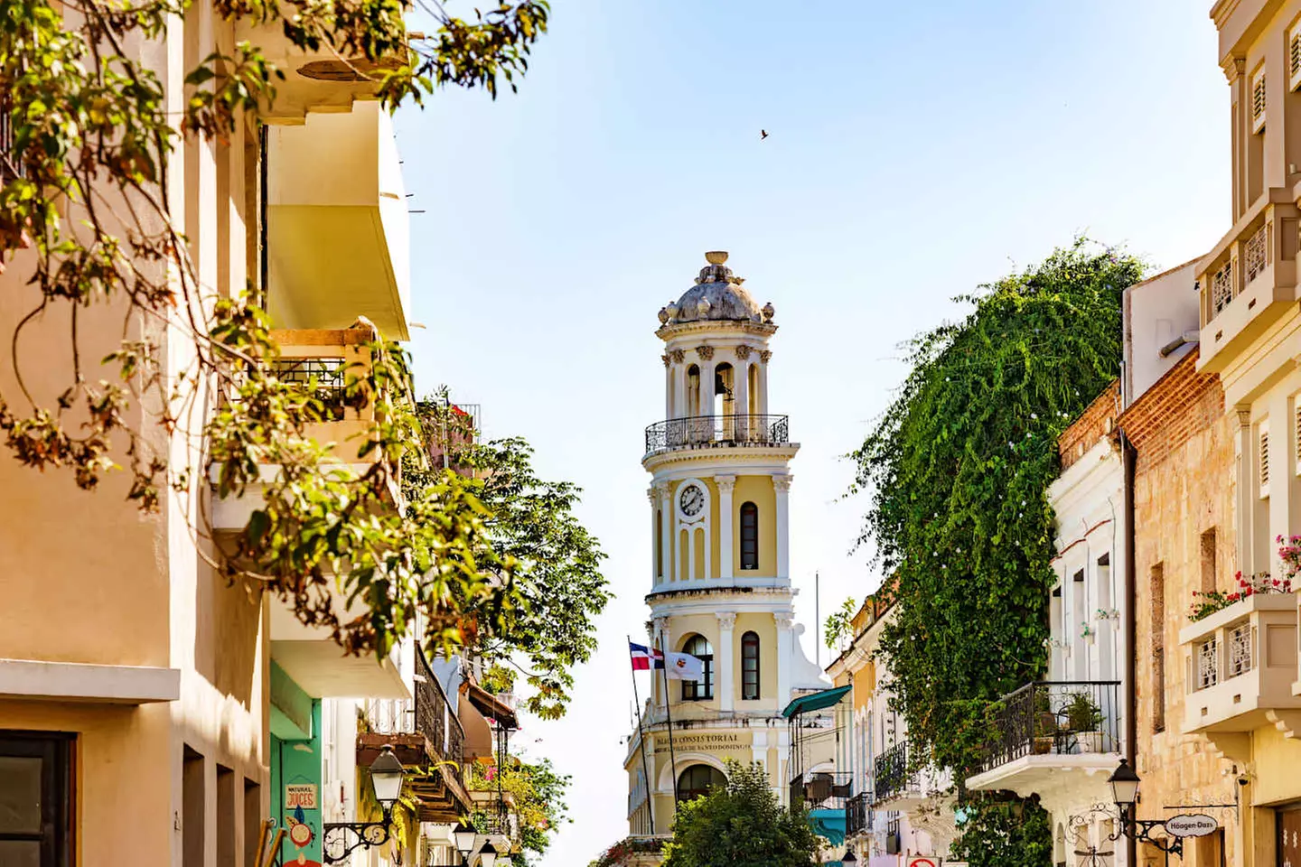 ✈ DOMINIKANISCHE REPUBLIK | Punta Cana - Das Wichtigste über die Do...