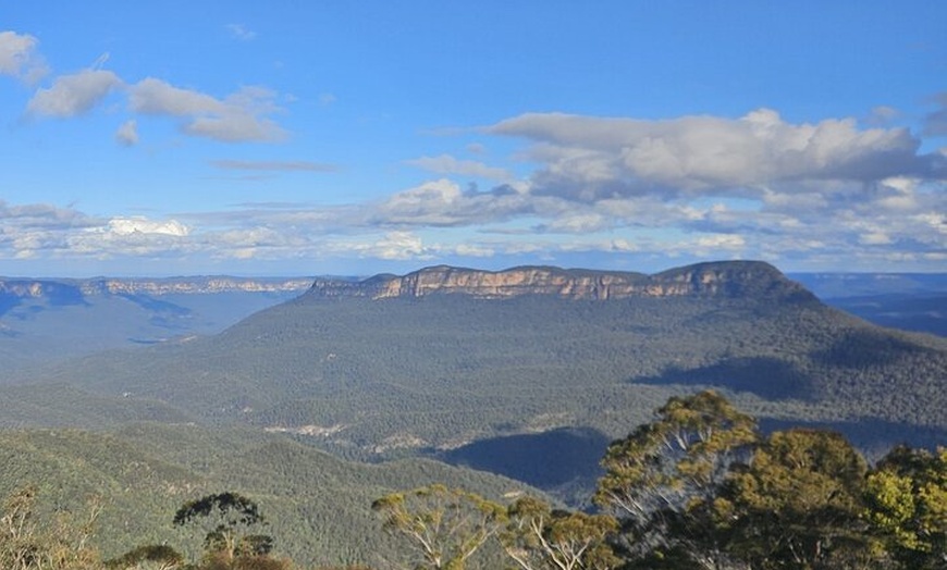 Image 6: English or German Luxury Private Blue Mountains Tour from Sydney