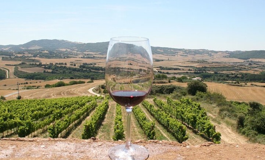 Image 15: Rioja Alavesa: Auténticas experiencias de vino