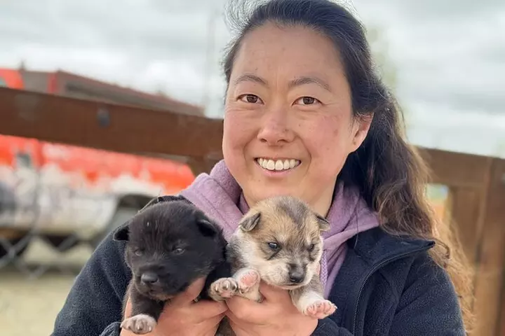 Anchorage's Authentic Dog Sledding Experience - Primary Image