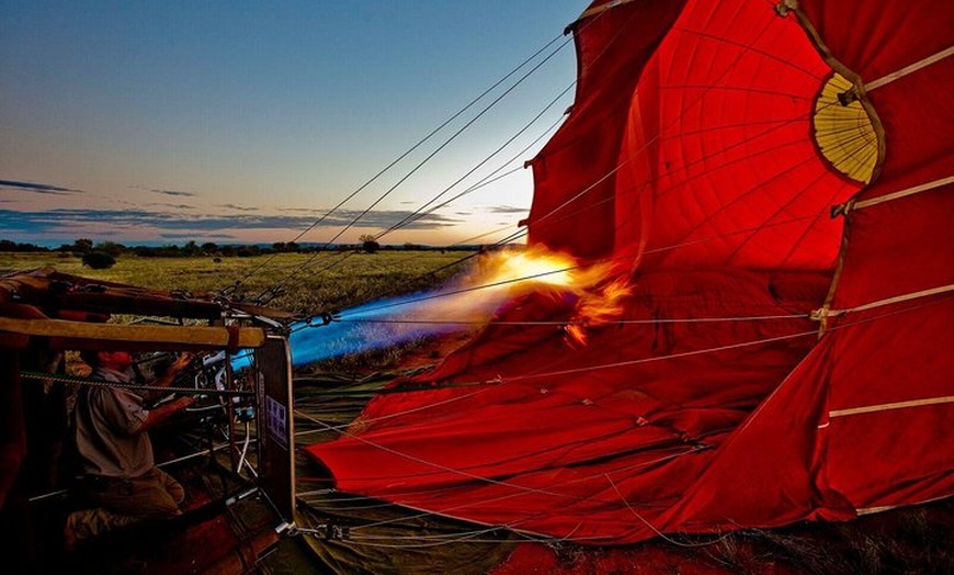 Image 2: Early Morning Ballooning in Alice Springs