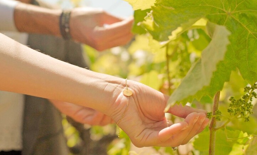 Image 12: Desde Málaga: Ronda, Cata de vinos y aceites de oliva Premium Grupo...