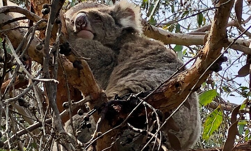 Image 3: Deep Creek Hike: Trails and Tales with a Foreign Flair
