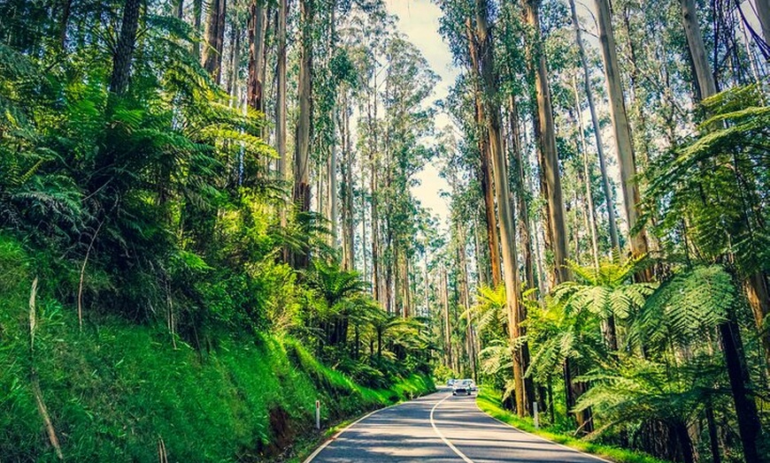 Image 32: Sydney: Private South Coast, Highlands and Kiama Tour