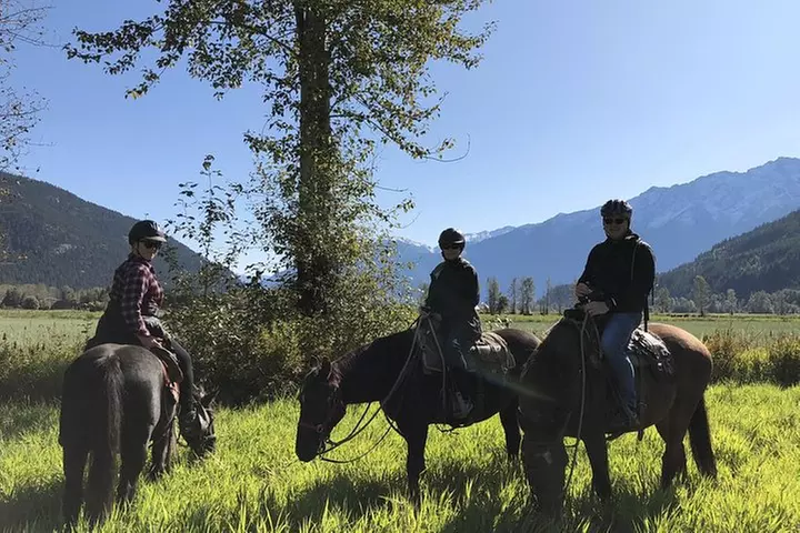 Full Day Guided Horseback Trip - Primary Image