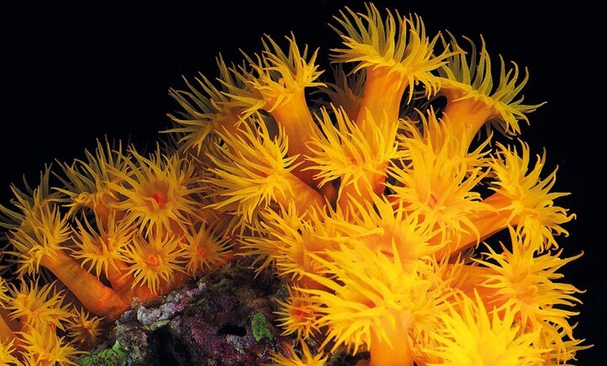Image 18: Acuario de Palma con autobús de vuelta desde Port Alcudia