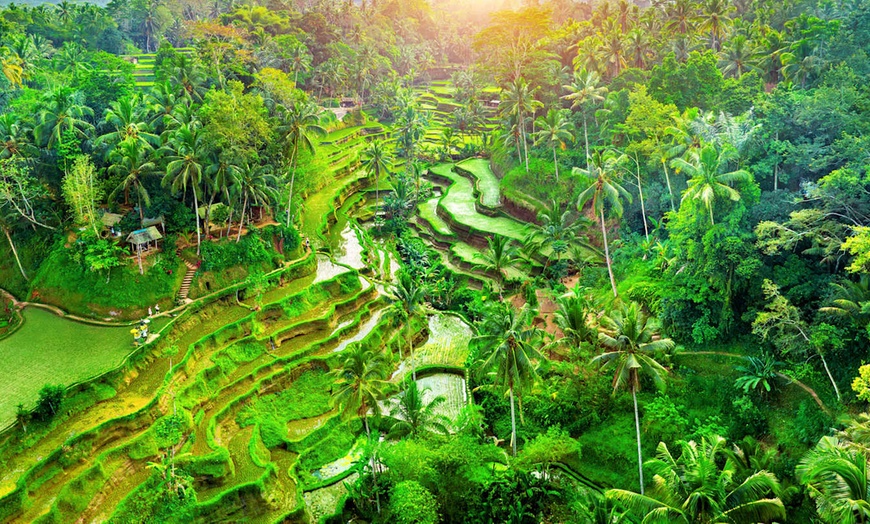 Image 3: ✈ BALI | Denpasar - A la découverte de Bali en famille 3*, 12 nuit ...