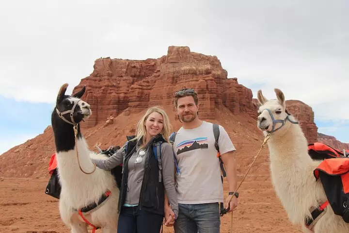 1-Hour Llama Hike Family Friendly and Fun
