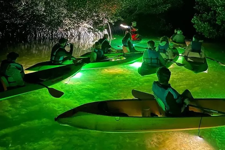 Sharkeys Glass Bottom Fish Feeding LED Night Tour Key West - Primary Image