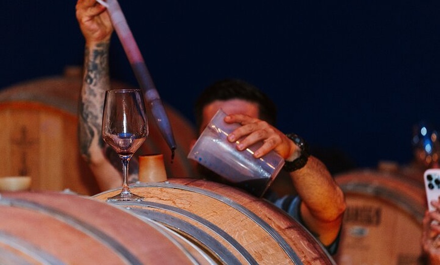 Image 22: Visita Guiada a Bodegas Rurales de Madrid con Cata de Vinos