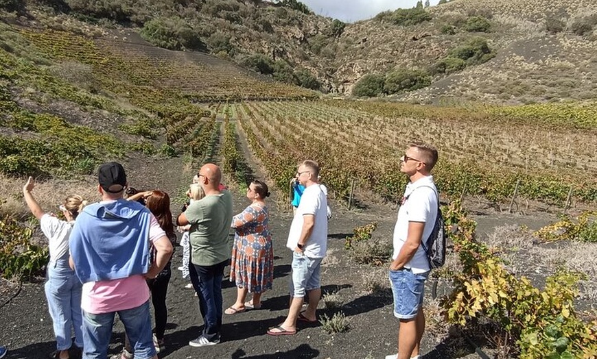 Image 17: Lo mejor de Gran Canaria: 4 horas Tour Privado para Cruceristas