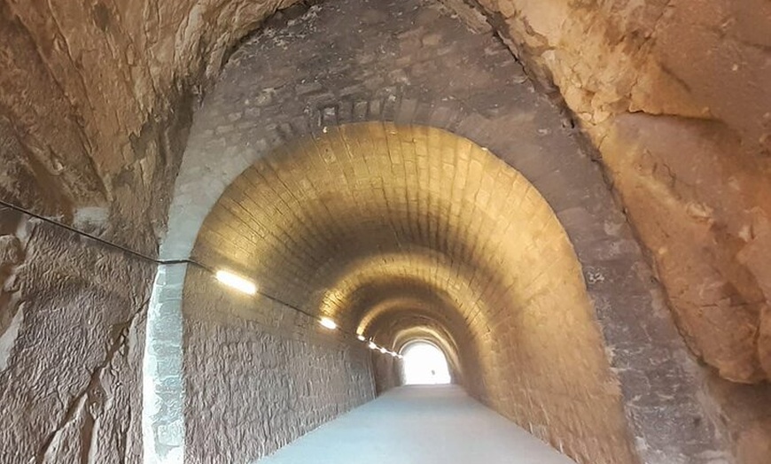 Image 5: Búsquedas autoguiadas de carroñeros en Alicante con 4 ubicaciones