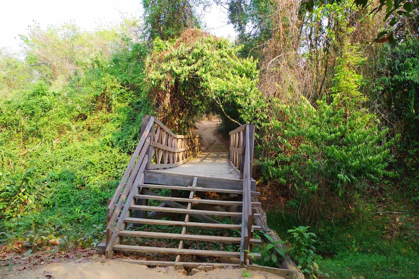 ✈ CAMBOGIA | Da Siem Reap a Phnom Penh - La Cambogia: tra patrimoni...