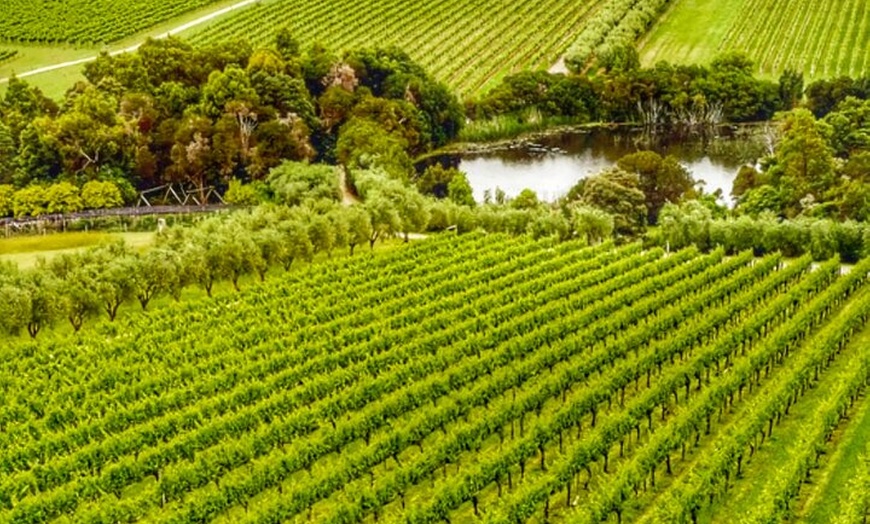 Image 2: Mornington Peninsula Private Wine Tour. Your day. Your Way.