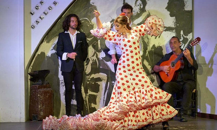 Image 2: Entrada para el espectáculo de flamenco en Los Gallos