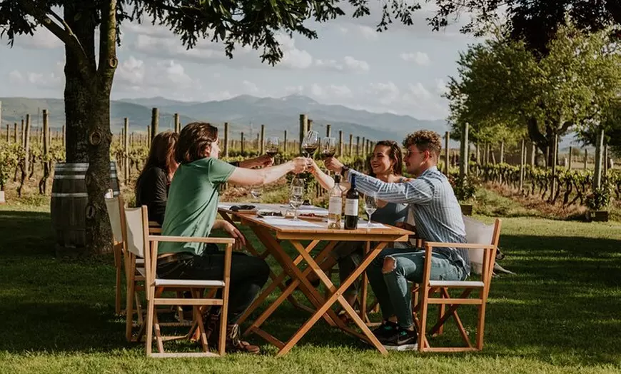 Image 1: La Rioja: Un Viaje a Través de Viñedos y Tradición