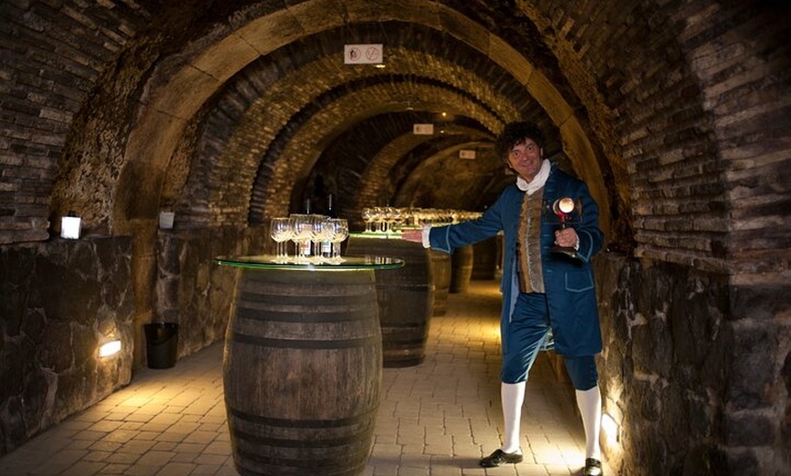 Image 5: Rioja Alavesa: Auténticas experiencias de vino