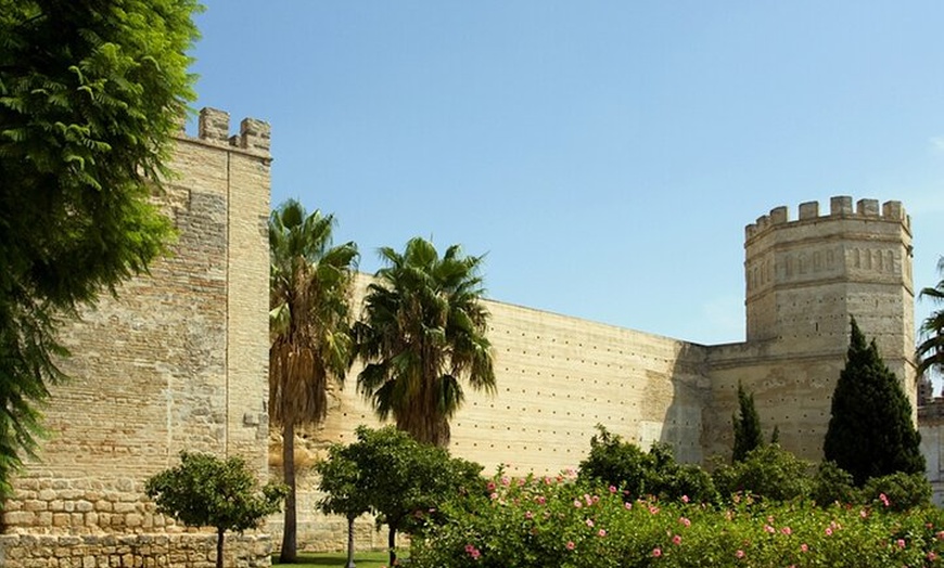 Image 6: Visita Guiada Histórica de Jerez y Alcázar