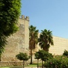 Image 6: Visita Guiada Histórica de Jerez y Alcázar