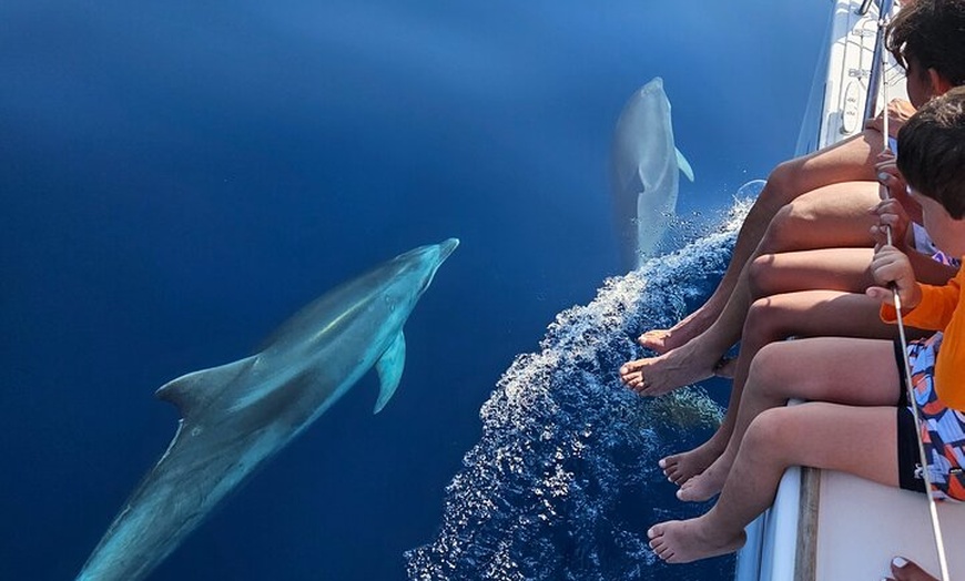 Image 26: Alquiler de velero Marbella, delfines,bebidas y snacks -2 horas