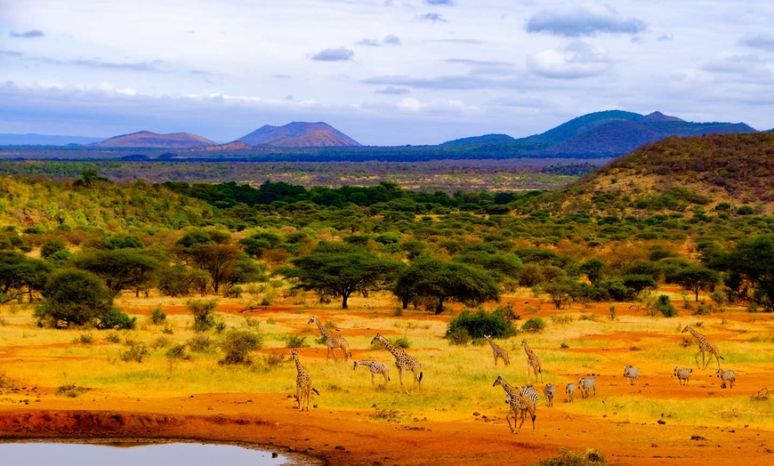 Image 2: ✈ KENYA | Mombasa - Entre safari et détente balnéaire au Kenya 4* -...