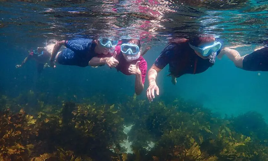Image 6: Snorkeling Adventure for Kids with Private Guide In Sydney