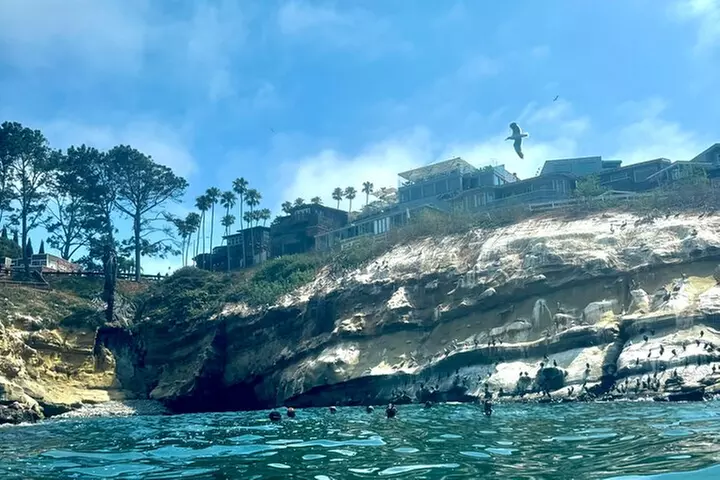 Snorkeling Adventure in La Jolla