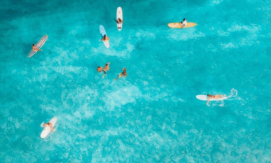 Image 4: Salida del sol o luna llena Paddle Surf Experience