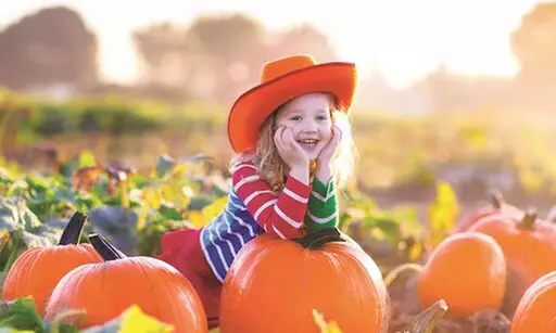 $24 For 4 Corn Maze Admissions (Valid Sept 26th-Oct 31st, 2025) (Re...