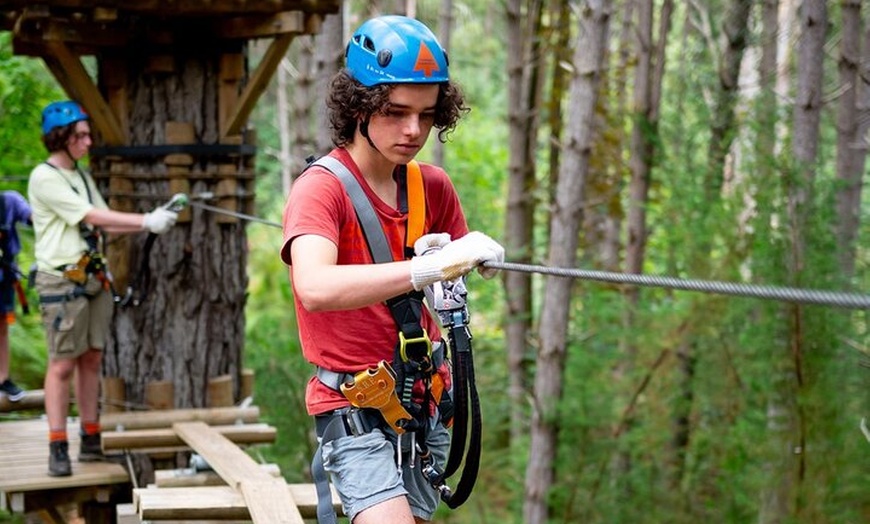 Image 3: Launceston Hollybank Tree Ropes Experience