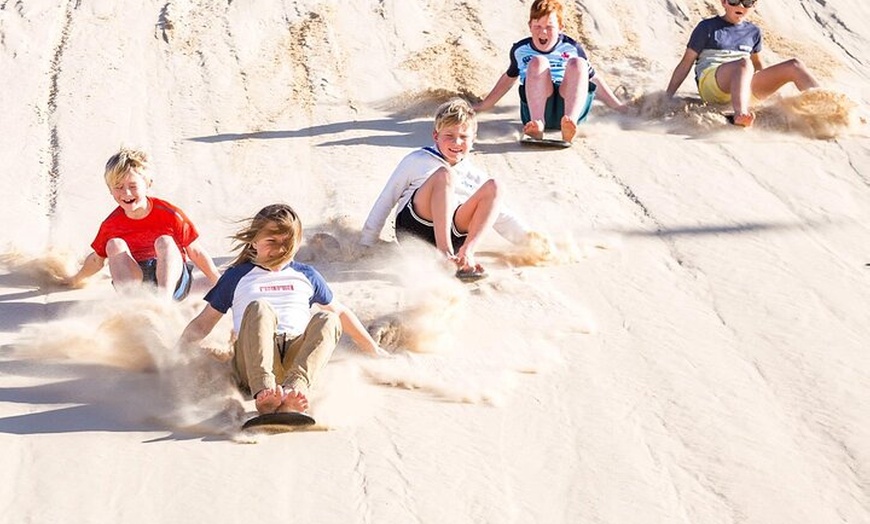 Image 8: Port Stephens Dolphin Cruise Koalas Sandboarding Japanese Tour