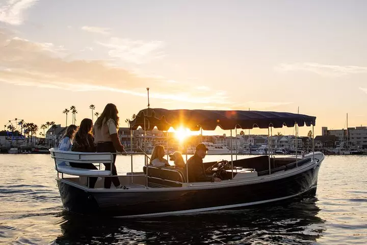 Electric Boat Rental Adventure in Newport Beach (up to 12 ppl) - Primary Image