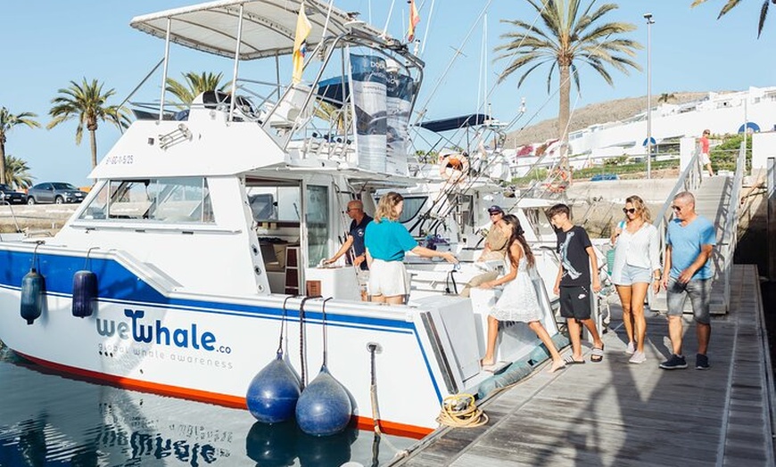 Image 7: Actividad de avistamiento de delfines al atardecer en Gran Canaria