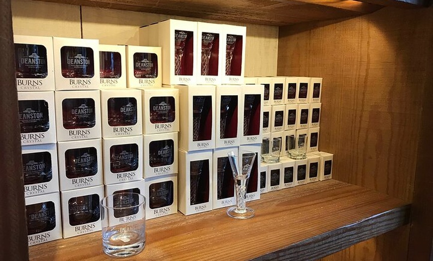 Image 8: The Highland Cows Experience in Scotland