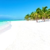 Image 20: ✈ MEXIQUE | Cancun - Oleo Cancun Playa 4*, 5 nuit - Premium