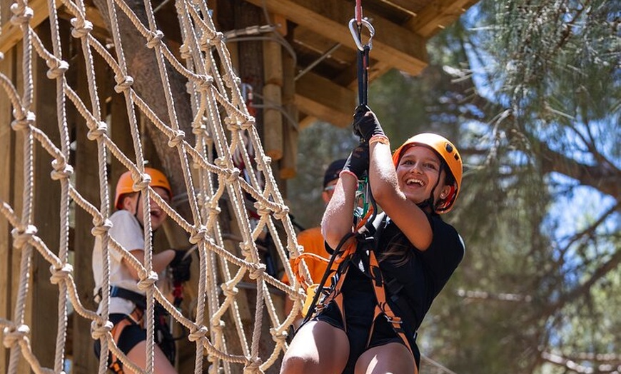 Image 1: Take the Challenge and Conquer the Salisbury Treetops