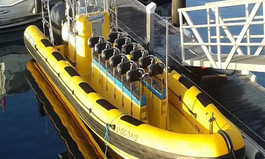 Image 8: Safari marino Delfines en su hábitat natural