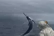 8 Hour Private Fishing Charter in Kailua-Kona, Hawaii - Second Medium