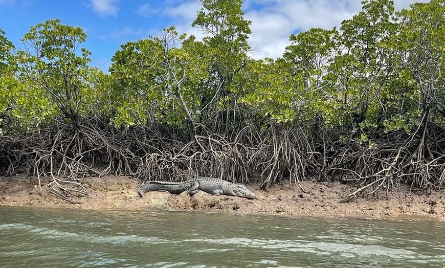 Image 2: Croc Spotting Jetski Experience in Cairns City