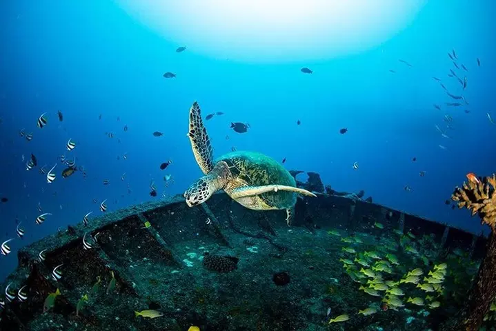 Maui Atlantis Submarine Adventure and Snorkel Cruise - Second Medium