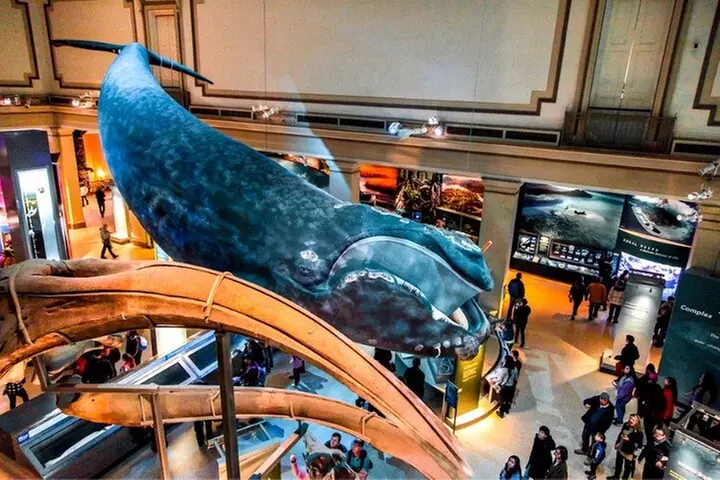 From Dinosaurs to Diamonds: Discover Natural History
