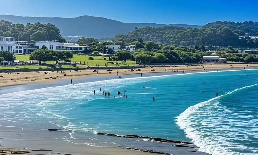 Image 6: Melbourne: Great Ocean Road Luxury Coach Reverse Tour
