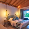 Image 28: ✈ MALDIVES | Alif Dhaal Atoll - Vilamendhoo Island Resort & Spa 4* ...