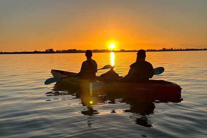 Sunset Kayaking with Dolphins