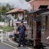 Image 4: Puffing Billy Train&Healesville Sanctuary&Yarra Valley Wine Tour