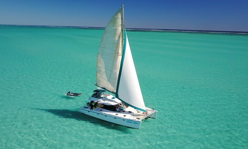 Image 9: 3 Night Ningaloo Reef Snorkel and Dive Getaway from Coral Bay