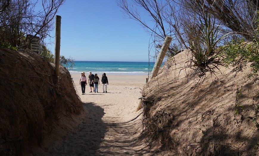 Image 12: Full-Day Great Ocean Road and 12 Apostles Tour