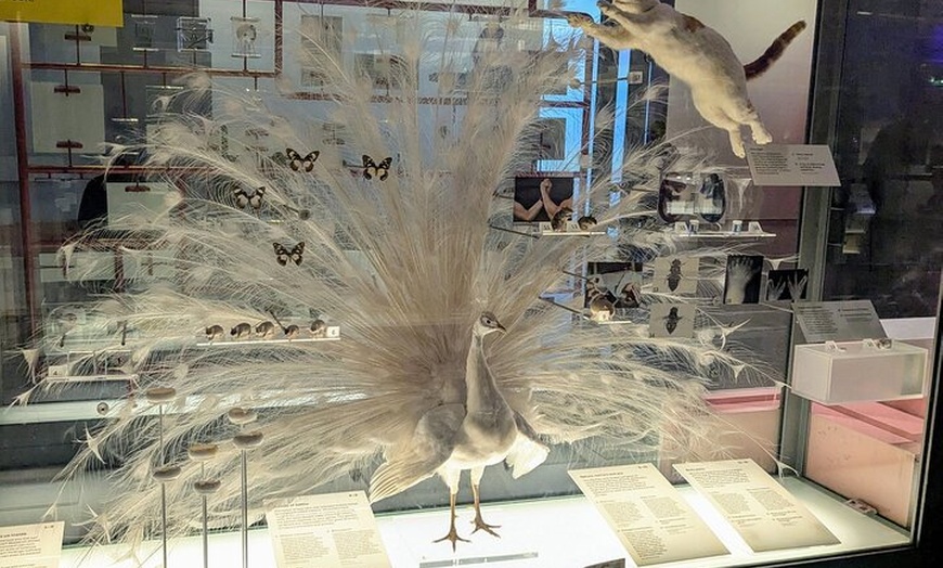 Image 5: London: Science Museum Priority Entry Ticket & Digital Audio Tour