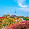 Image 21: ✈ COREA DEL SUD | Seul - Corea segreta e autentica 3*, 10 notti - Tour