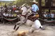 Xcaret Park Day Tour & Night Show with Transportation - Second Medium